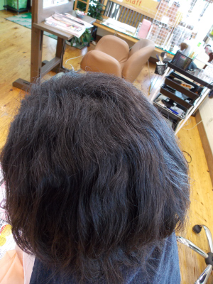 DSCN0181.jpg