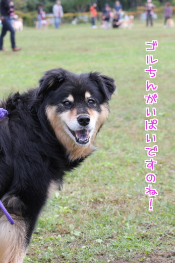 ゎくo(。・ω・。)oゎく