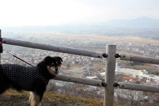 ホントは早く遊びたいのの