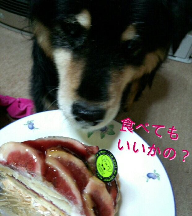 Hanaちんも食べたいのね!