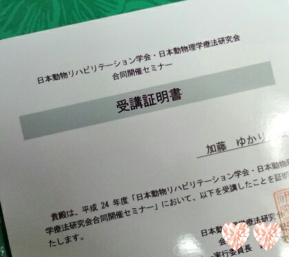 理学療法セミナー