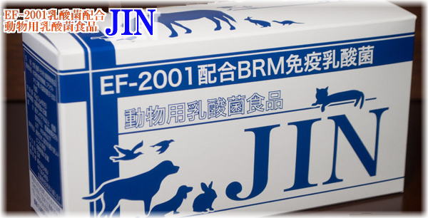 JIN