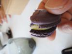 DSC08135.jpg