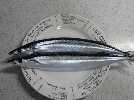 20121026sanma.jpg