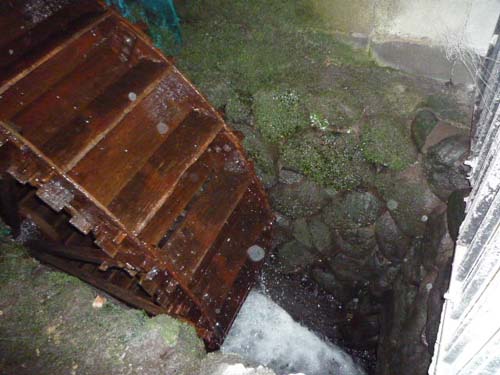 小麦(水車)