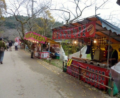 P1070205.jpg