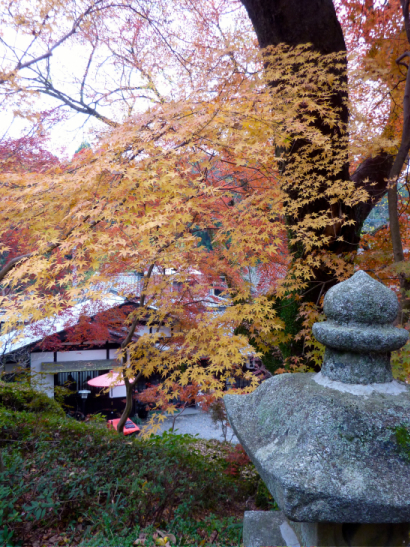 P1070210.jpg