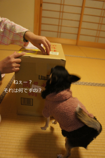 お土産見物3