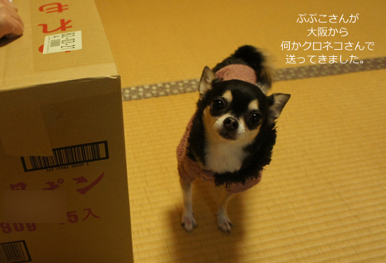 おみやげ見物1