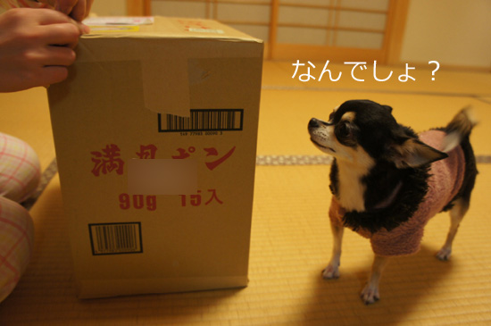 お土産見物2
