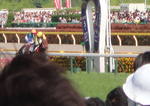 DSC01178.jpg