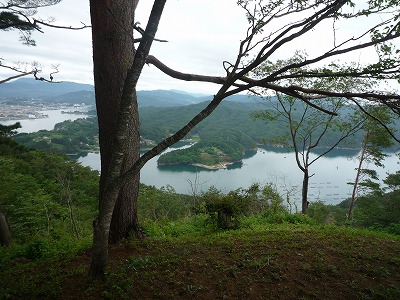 気仙沼・大島大木越しの気仙沼方向、P1030371(1)