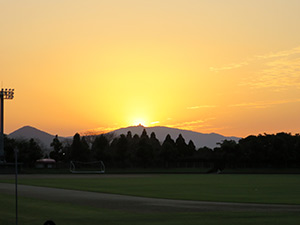 y14101902.jpg