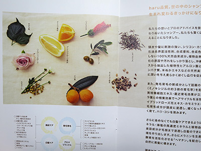 y14111309.jpg