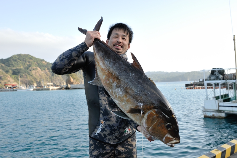 ヒレナガカンパチ 16kg