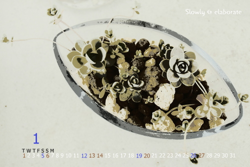 CIMG1955-1.jpg