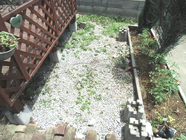 この空き地どうする?