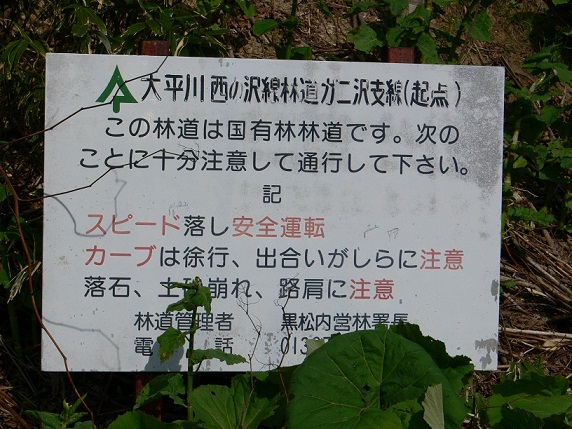 日陰の淵へ途中