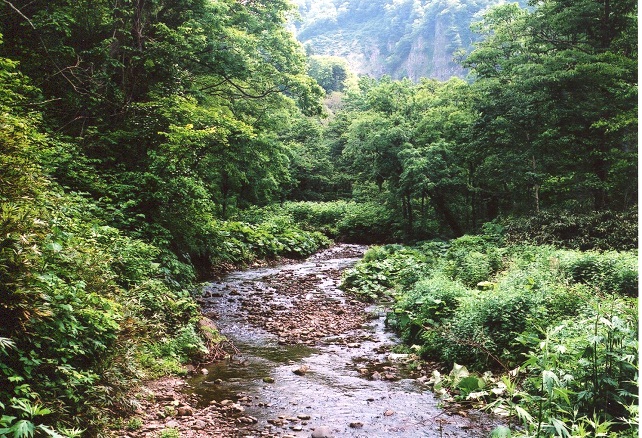 下二股川