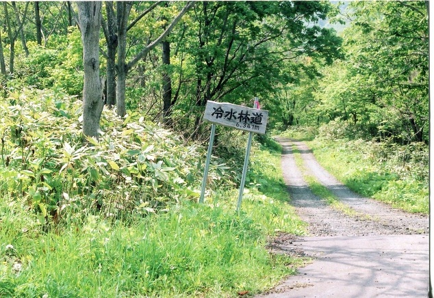 下二股川