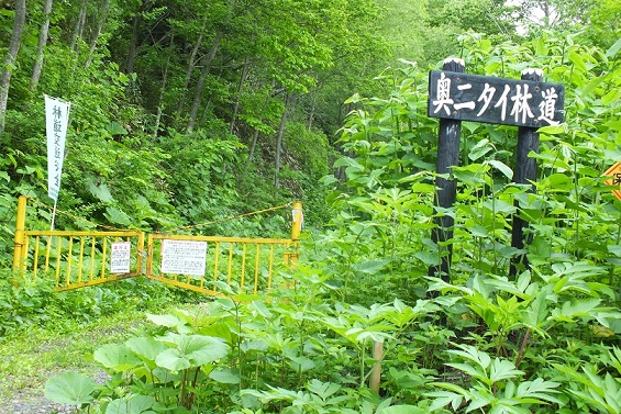 上川奥ニタイ林道1