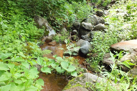 リクマンベツ川の冷泉２