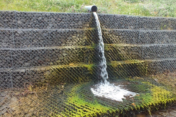 錦岡の湯