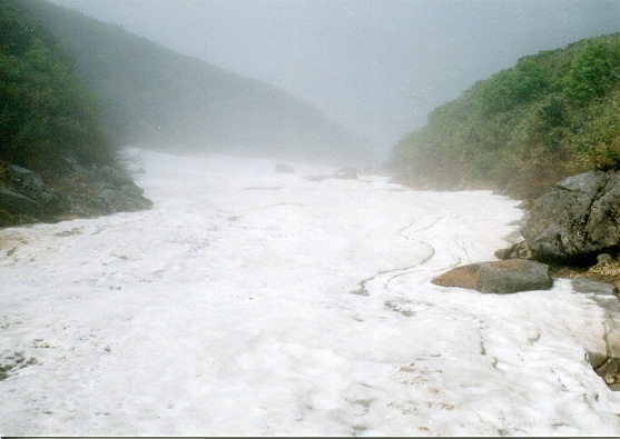 富良野岳 滝1