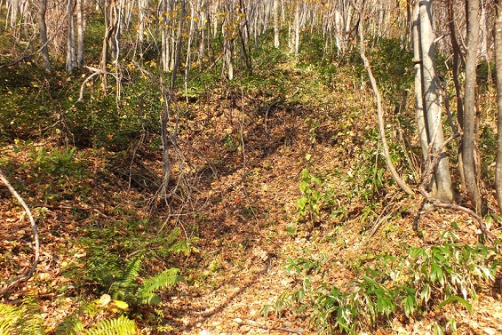 円山鉱山 鉱口