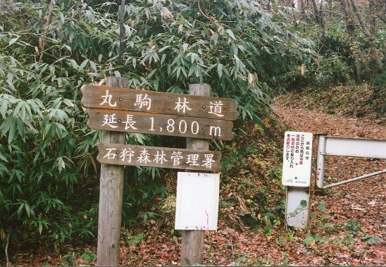 支笏湖トマリ (1)