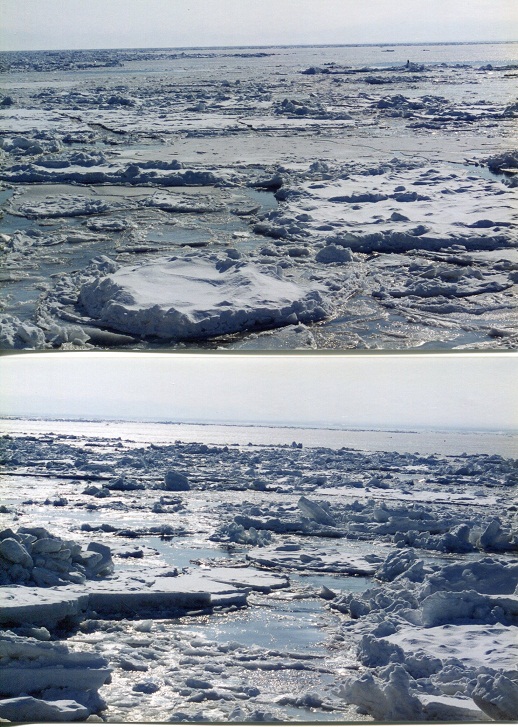 流氷 (4)