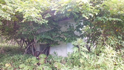 T沼湯3 (13)