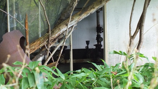 T沼湯3 (17)