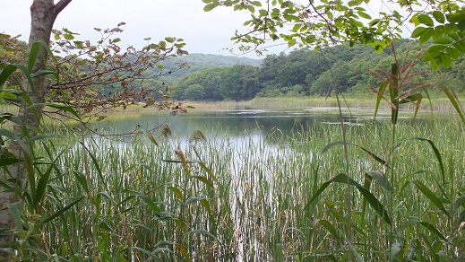 T沼湯3 (20)