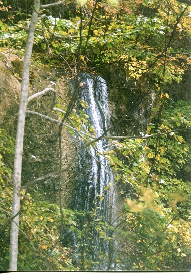 img314.jpg