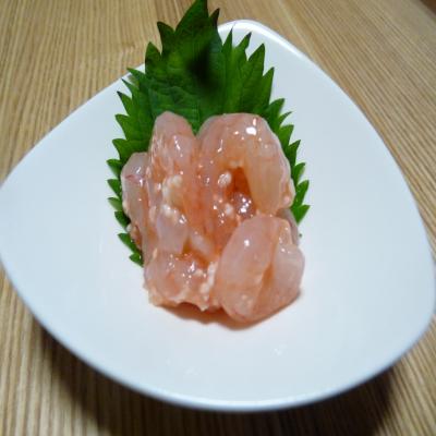 2012.6.1お魚1