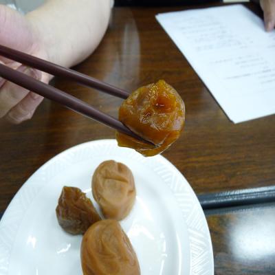 2012.6.4梅講座4