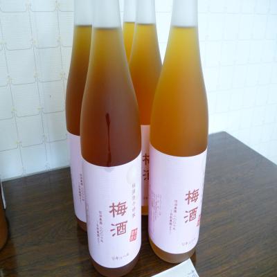 2012.6.4梅講座