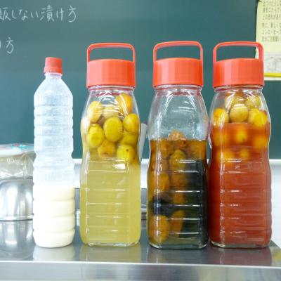 2012.6.4梅講座5