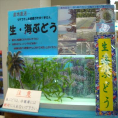 2012.6.5 うまいもの市1
