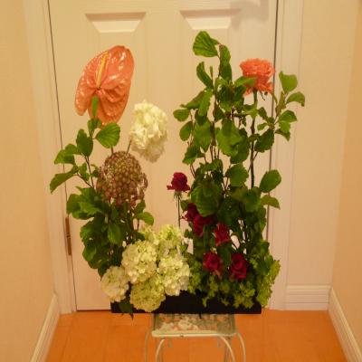 2012.6.6お花2