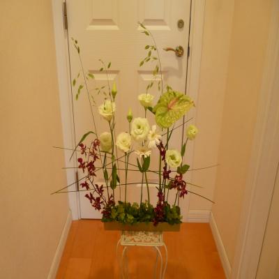 2012.6.6お花7