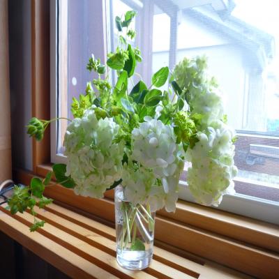2012.6.6お花10