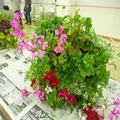2012.6.15寄せ植え3