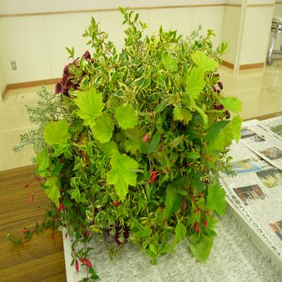 2012.6.15寄せ植え2