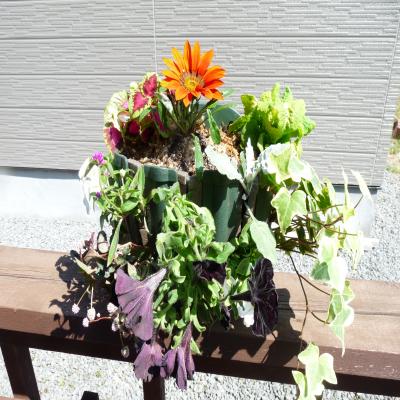 2012.6.15寄せ植え8