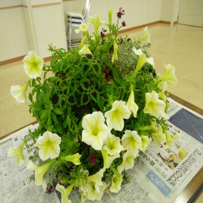 2012.6.15寄せ植え5