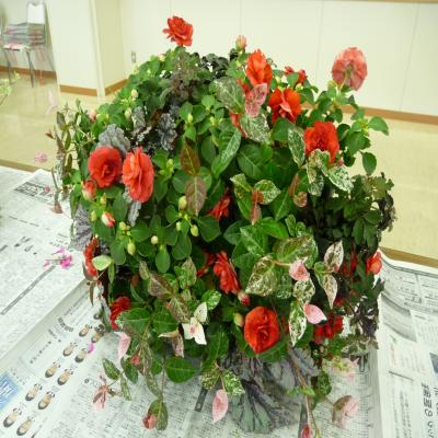 2012.6.15寄せ植え4