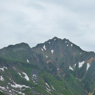 2012.6.17富良野岳1