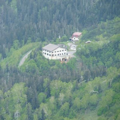2012.6.17富良野岳6